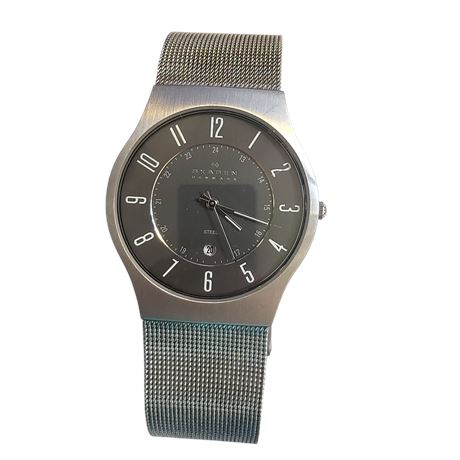 Vintage SKAGEN DENMARK STEEL 233XLSSM wristwatch quartz movement day on dial VGC